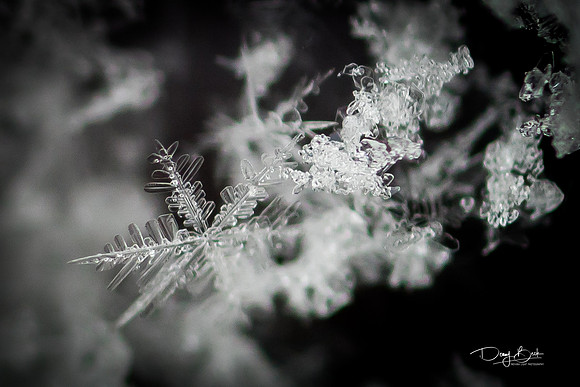 Snowflake