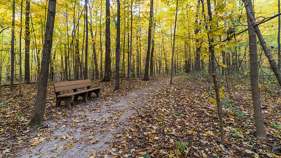 Lindenwood Nature Preserve