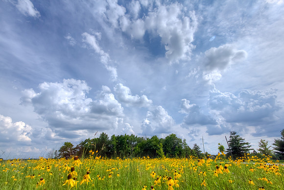 Salomon Farm - Fort Wayne, IN