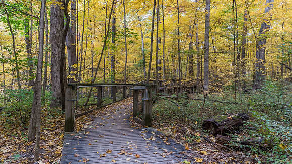 Lindenwood Nature Preserve