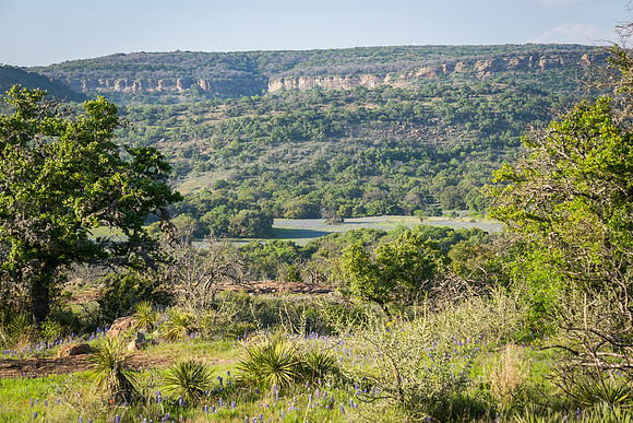 Along Willow City Loop