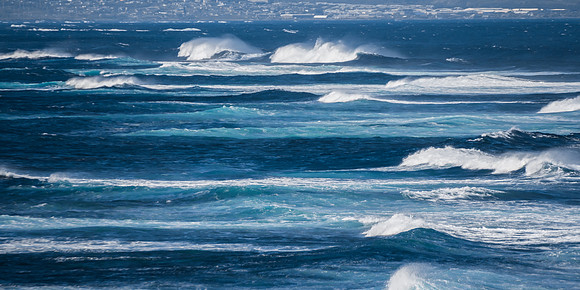 Maui Ocean