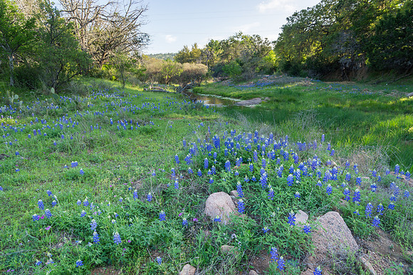 Along Willow City Loop