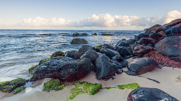 Maui