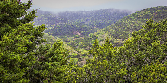 Kerrville Area