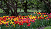 Foster Park, Fort Wayne, IN