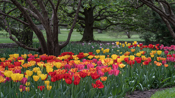 Foster Park, Fort Wayne, IN
