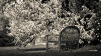 Foster Park, Fort Wayne, IN