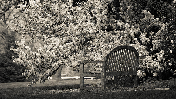 Foster Park, Fort Wayne, IN