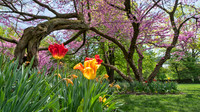 Foster Park, Fort Wayne, IN