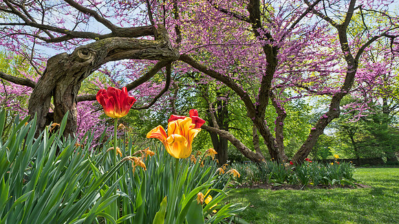Foster Park, Fort Wayne, IN