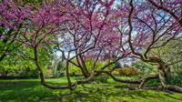 Foster Park, Fort Wayne, IN