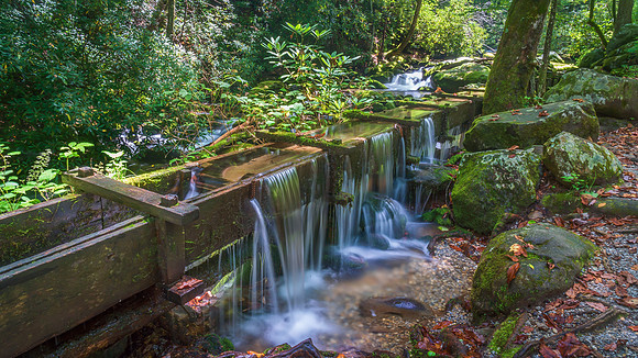 Great Smokey Mountain National Park