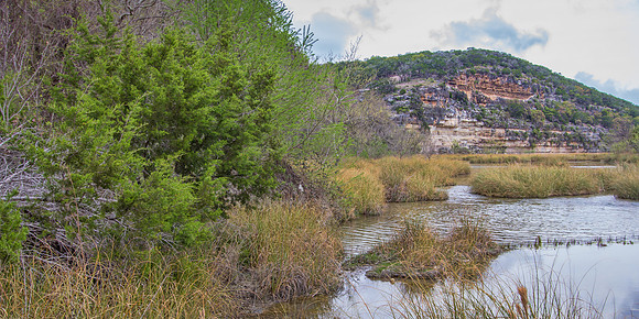 Kerrville Area