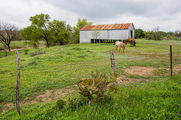 Kerrville Area