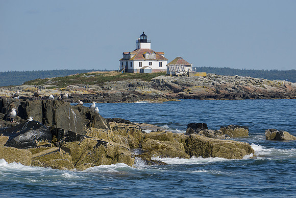 Egg Island Lighthouse - Bar Harbor