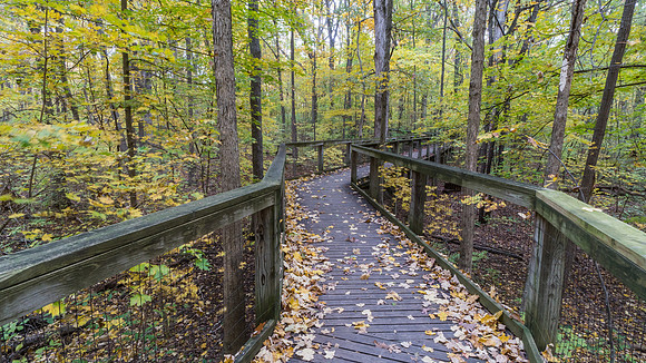 Lindenwood Nature Preserve