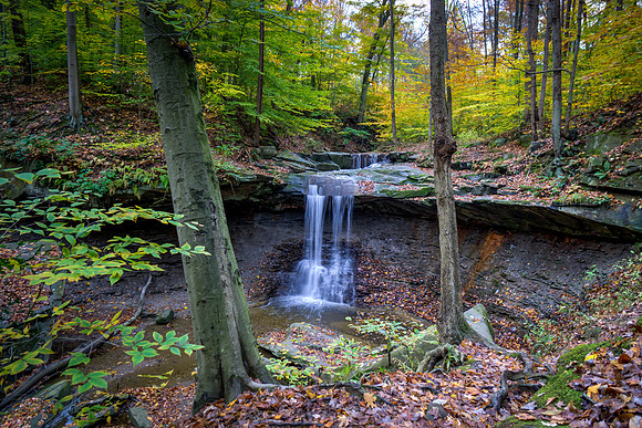 Blue Hen Falls #6
