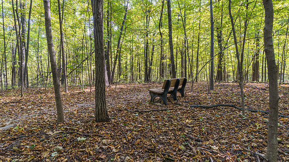Lindenwood Nature Preserve