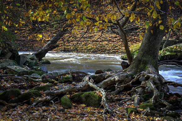 Downstream Great Falls - Viaduct Park #1