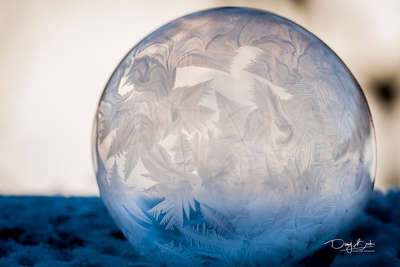 Frozen Soap Bubble
