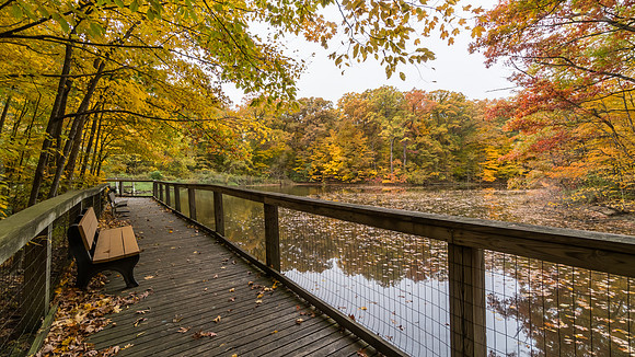 Lindenwood Nature Preserve
