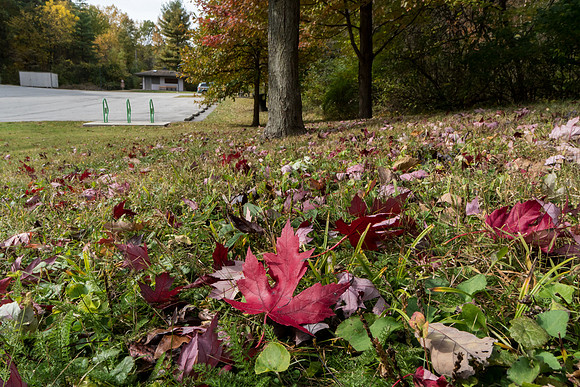 Lindenwood Nature Preserve