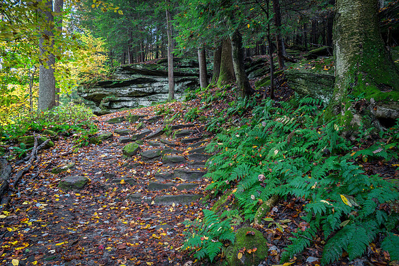 Ledges Overlook Trail #5