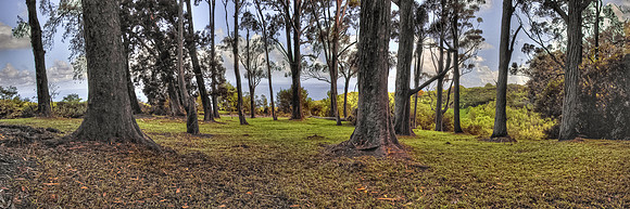 Maui along Road to Hana