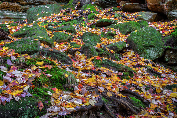 Ledges Overlook Trail #4