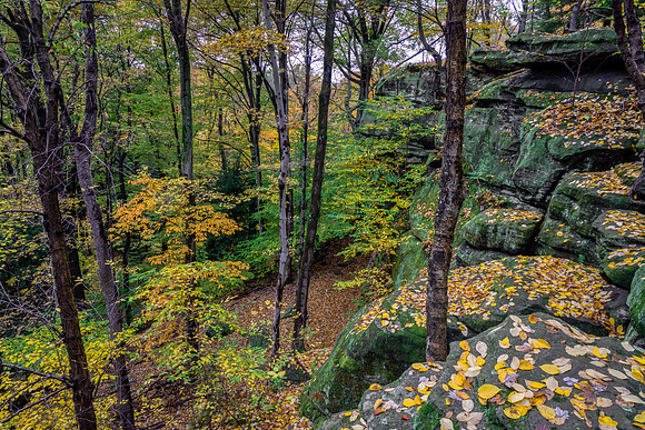 Ledges Overlook Trail #2