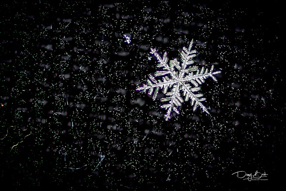Snowflake