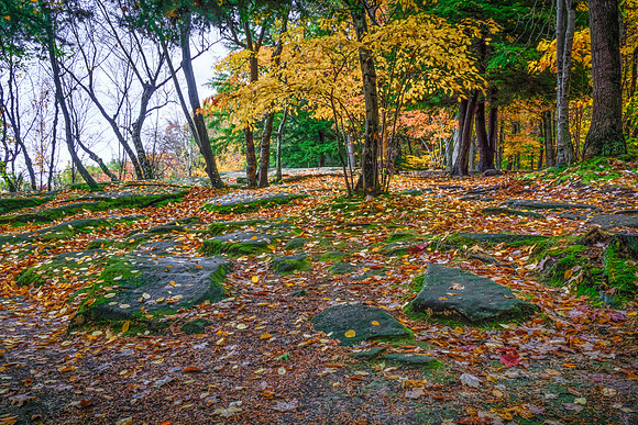 Ledges Overlook #6