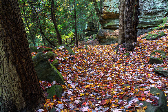 Ledges Overlook Trail #3
