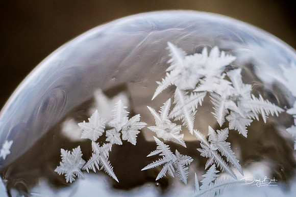 Frozen Soap Bubble