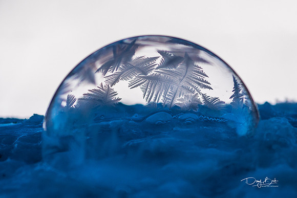 Frozen Soap Bubble
